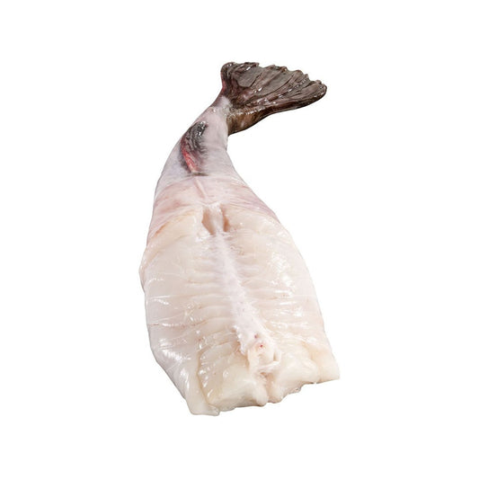 Bretagne-i ördöghal farok 4-5kg (Yeu-sziget)