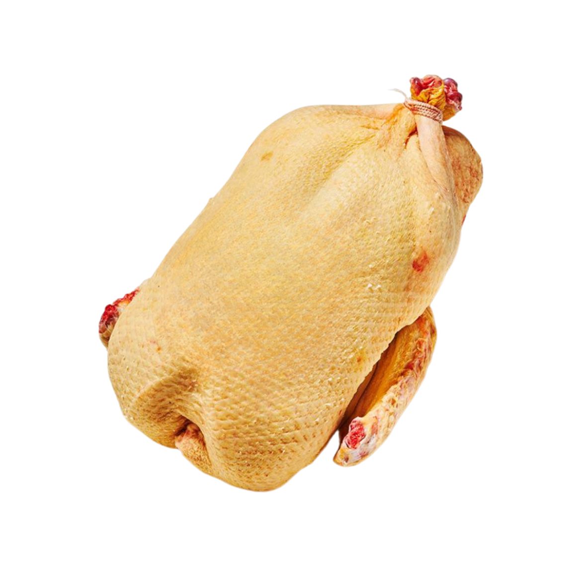 Dombes-i kiskacsa 1,8/2,2kg, pucolt, zsigerelt