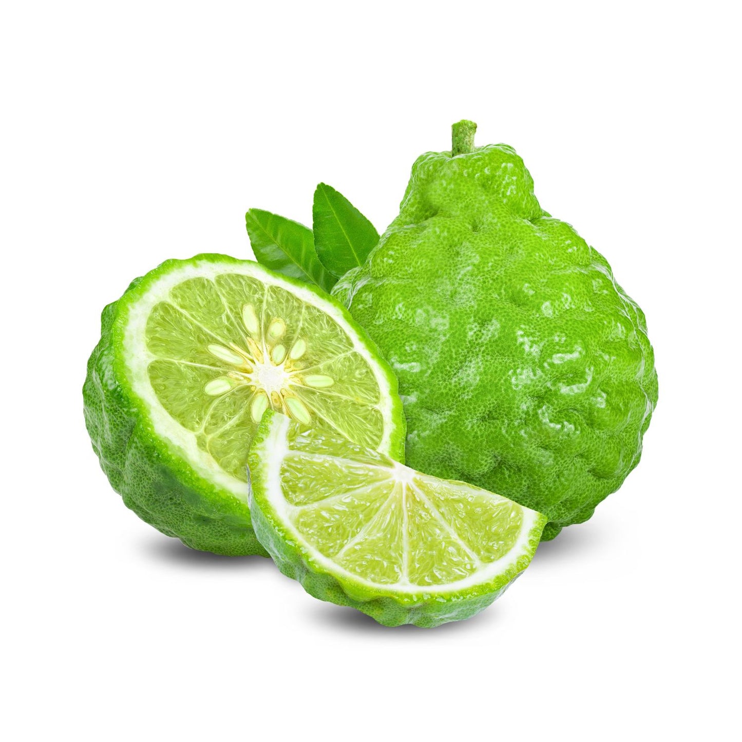 Kaffir lime